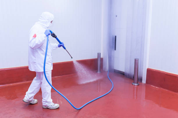Best Spring Cleaning  in Oconomowoc, WI